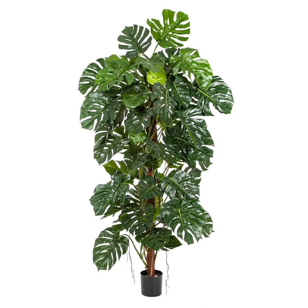 PHILODENDRON zöld mű filodendron 190 cm