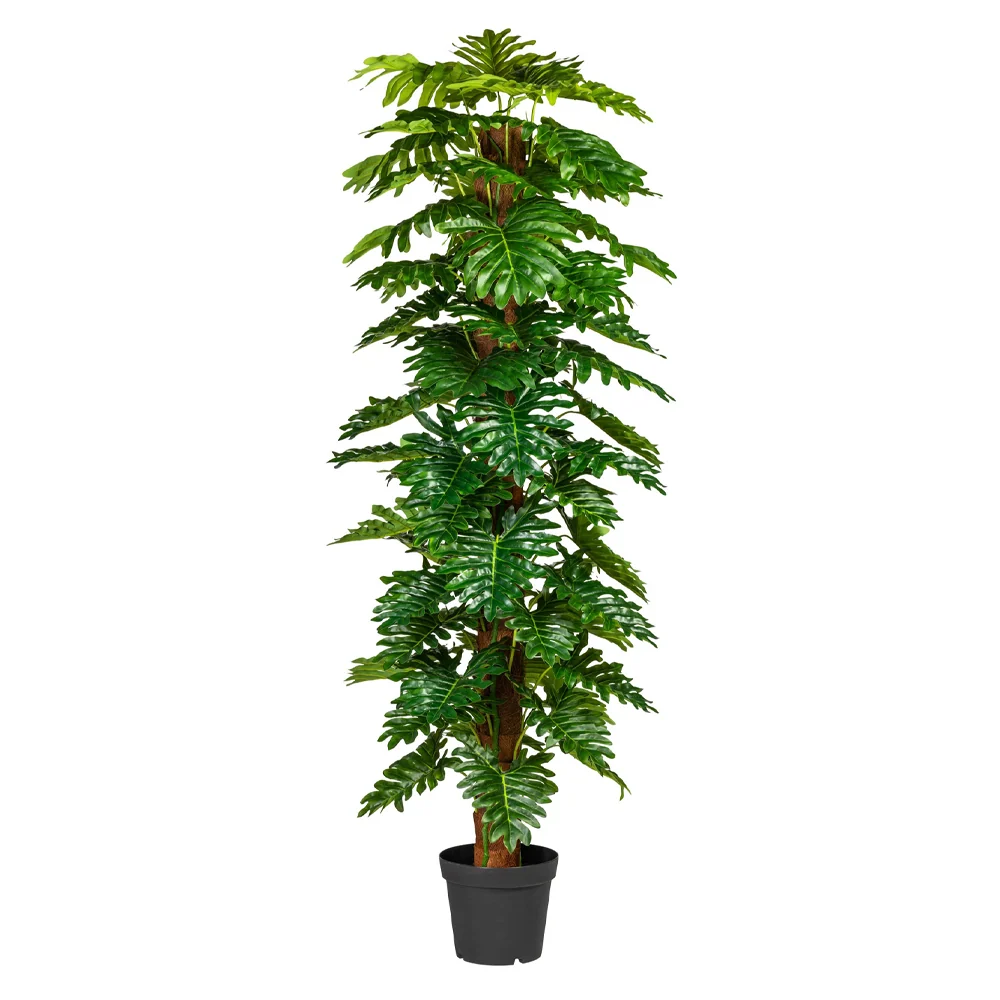 PHILODENDRON zöld mű filodendron 190 cm