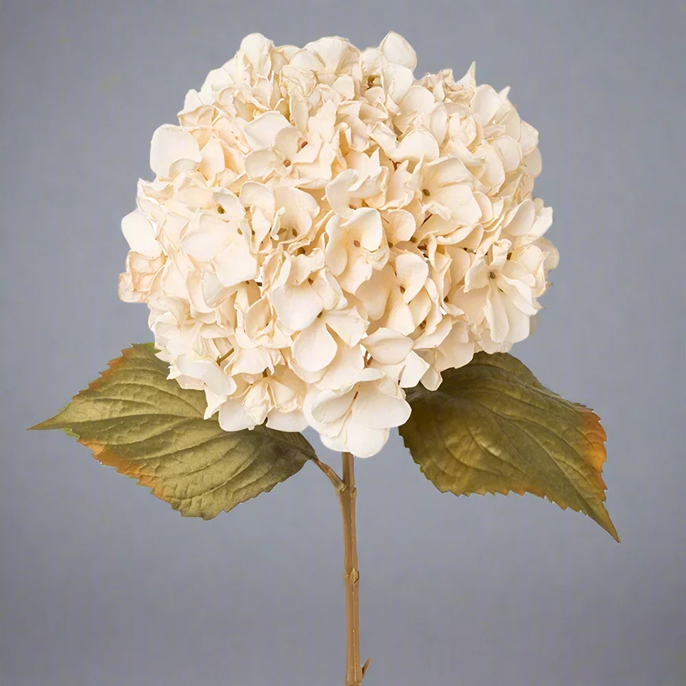 HYDRANGEA fáradtbézs mű hortenzia 65 cm