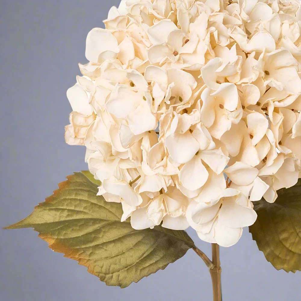 HYDRANGEA fáradtbézs mű hortenzia 65 cm