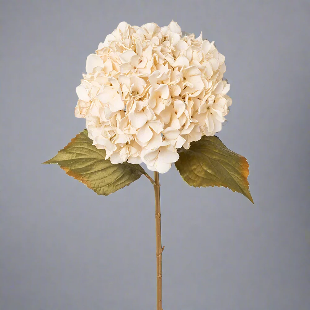 HYDRANGEA fáradtbézs mű hortenzia 65 cm