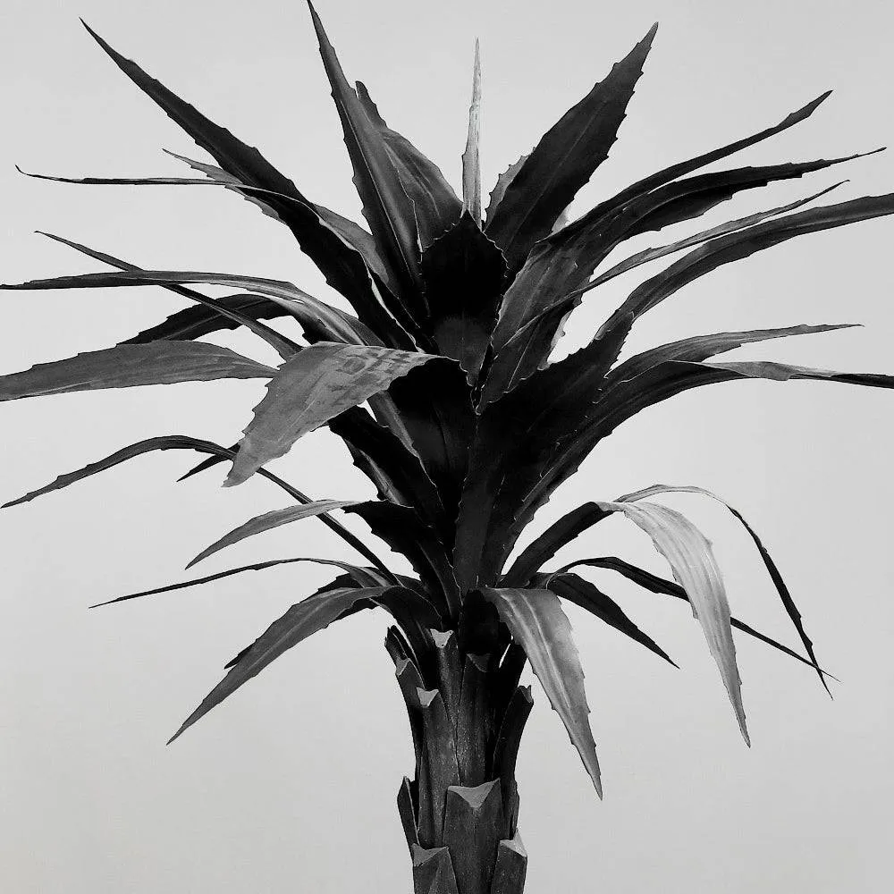 AGAVE fekete mű agave fa 150 cm