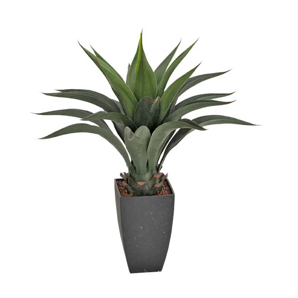 AGAVE zöld mű ageve 69 cm