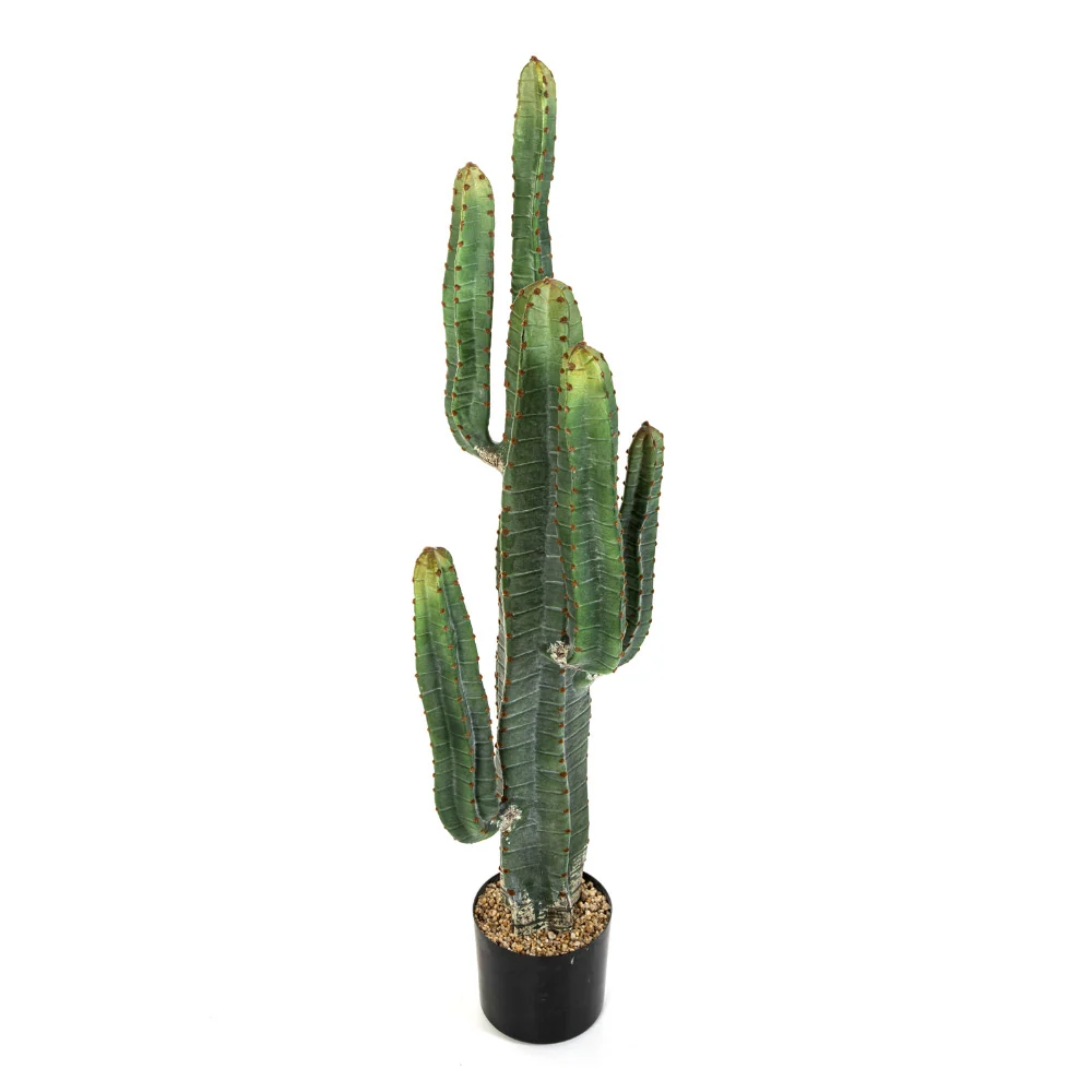 CACTUS zöld mű oszlopkaktusz 115 cm