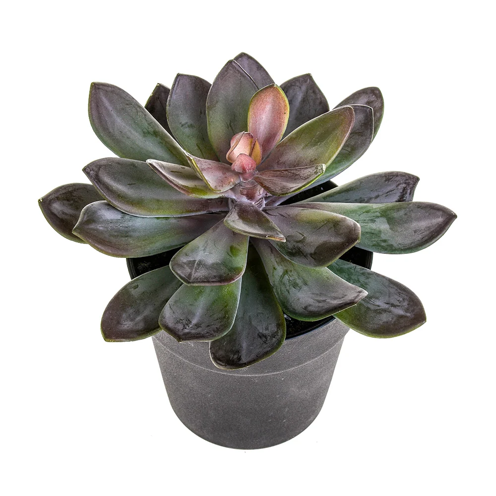 Kövirózsa műnövény cserépben Ø 22 x 20 cm lilászöld "Succulent"