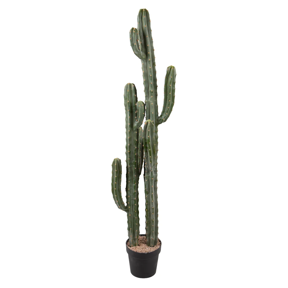 Mű oszlopkaktusz 143 cm zöld "Cactus"