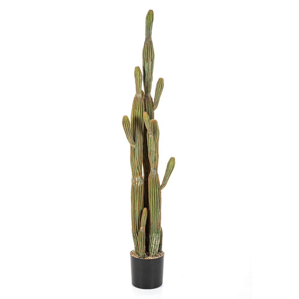 Mű oszlopkaktusz 150 cm zöld "Cactus"