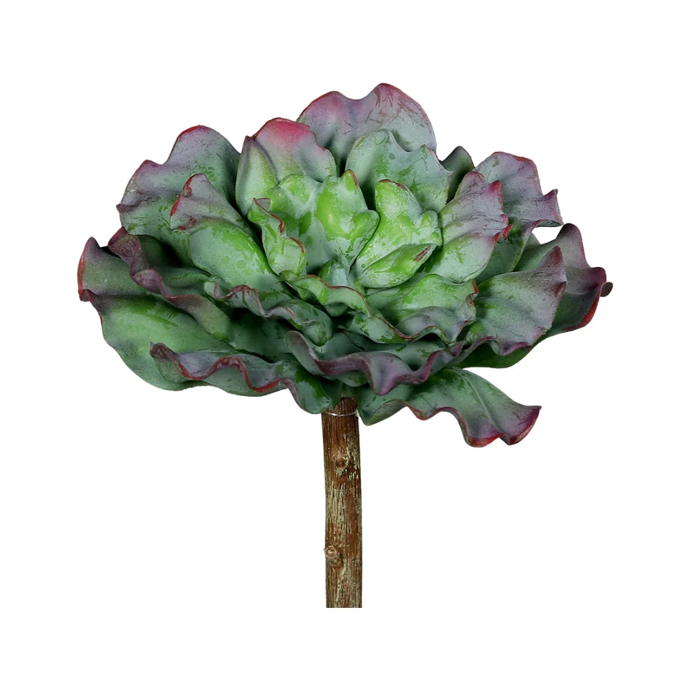SUCCULENT betűzős mű fodros levelű kövirózsa 16 cm