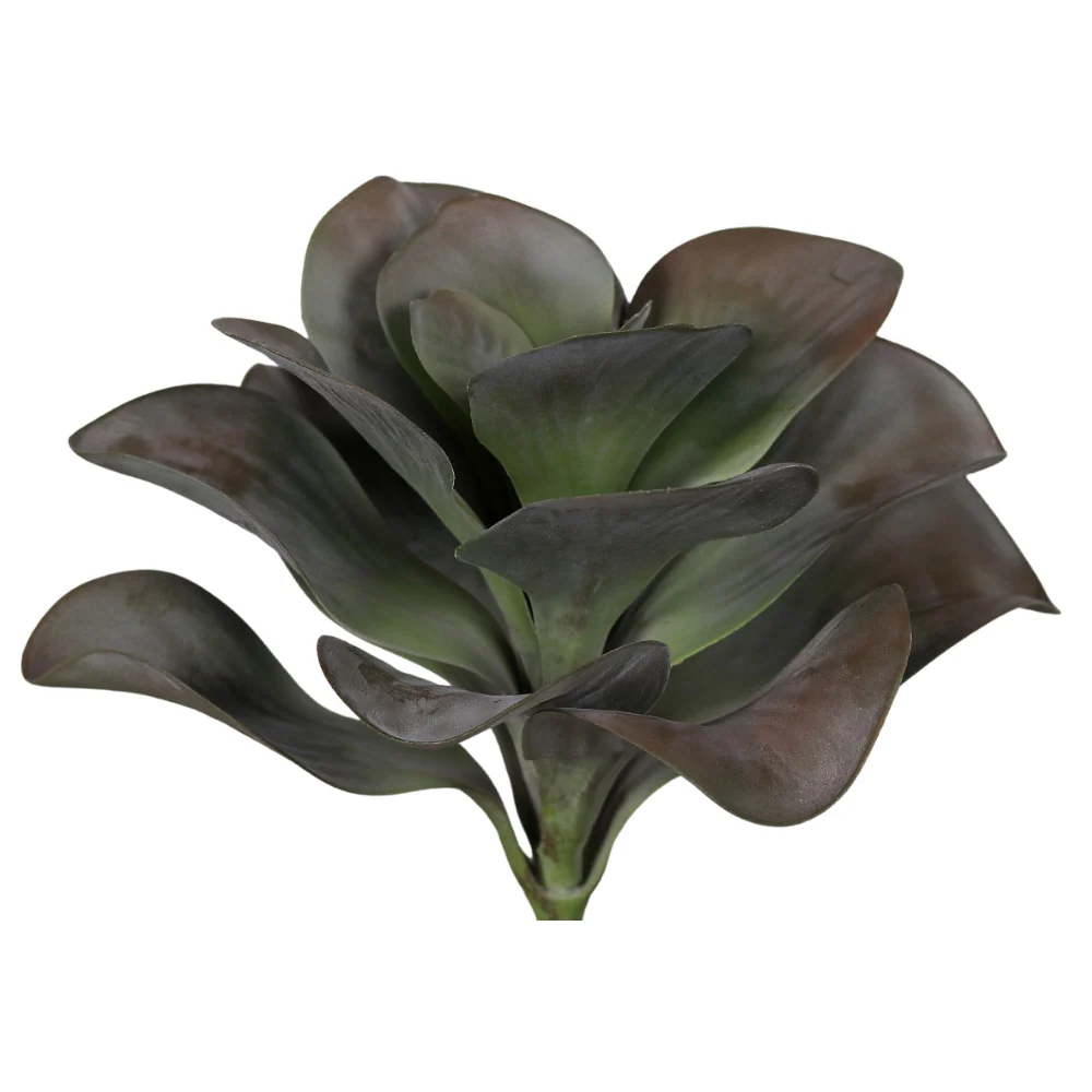 SUCCULENT betűzős mű nagylevelű kalanchoe 28 cm