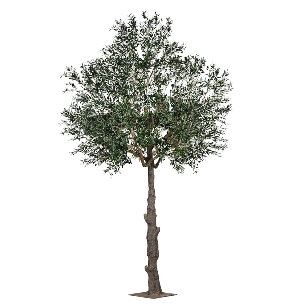 OLEA óriás mű olajfa 320 cm