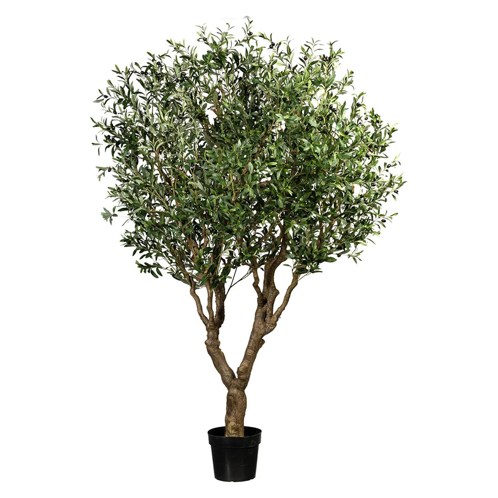 OLEA óriás zöld mű olajfa 240 cm