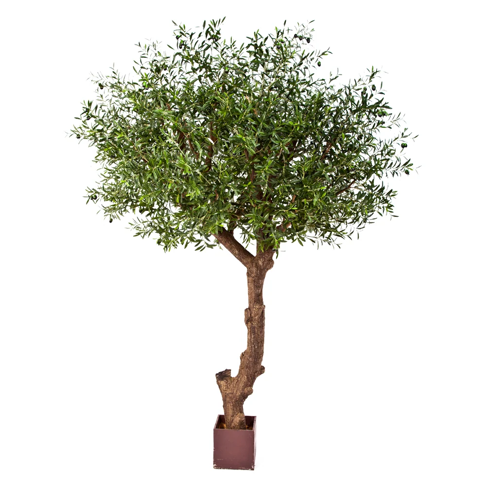 OLEA óriás zöld mű olajfa 270 cm
