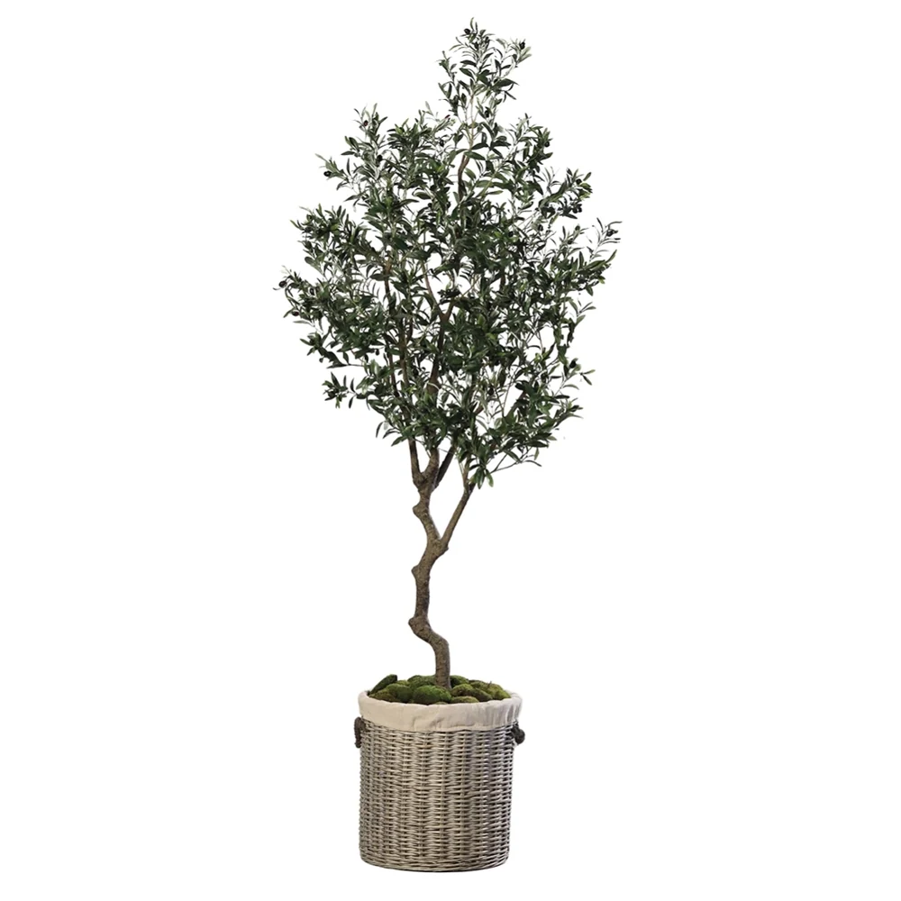OLEA zöld mű olajfa 220 cm