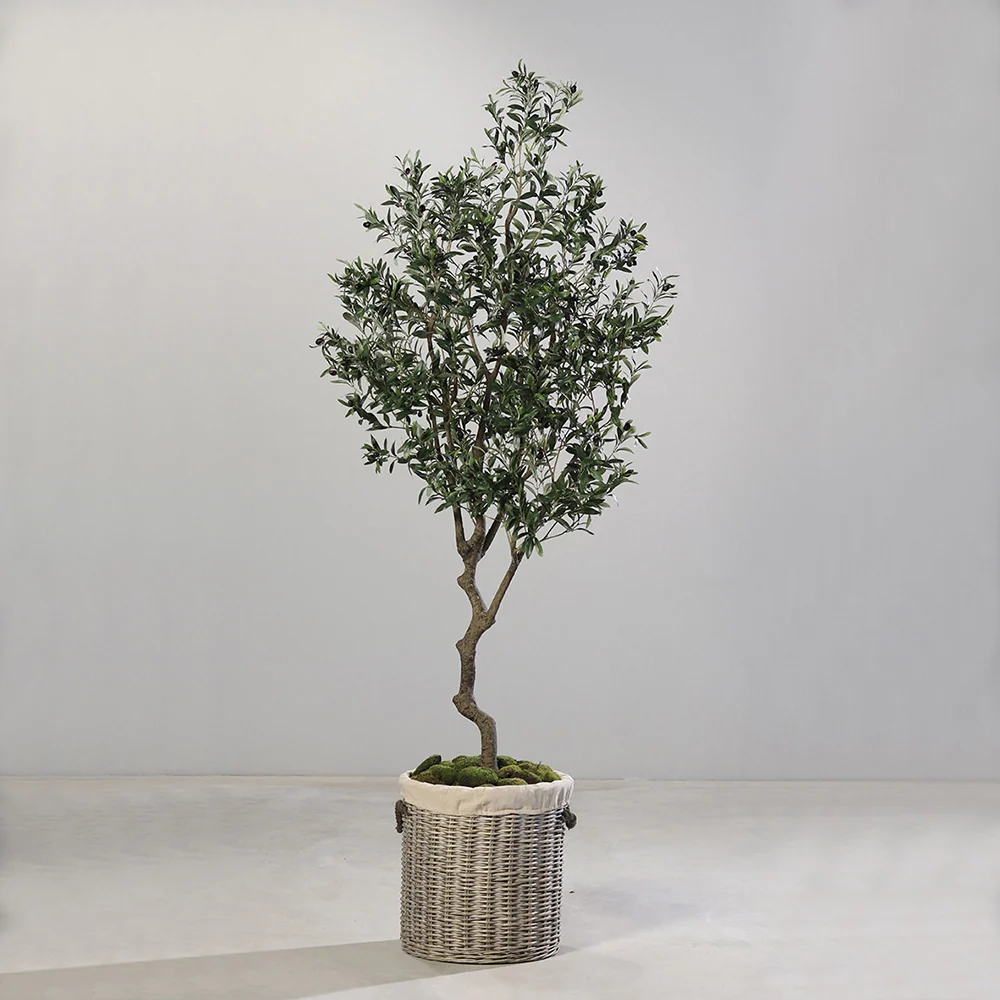 OLEA zöld mű olajfa 220 cm