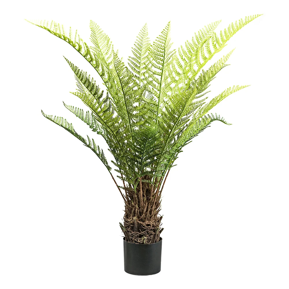 POLYPODIOPSIDA zöld mű dicksonia páfrány 115 cm