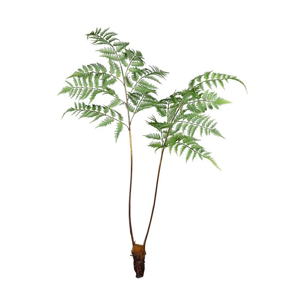 Óriás mű erdei pajzsika páfrány ág 105 cm zöld "Dryopteris"