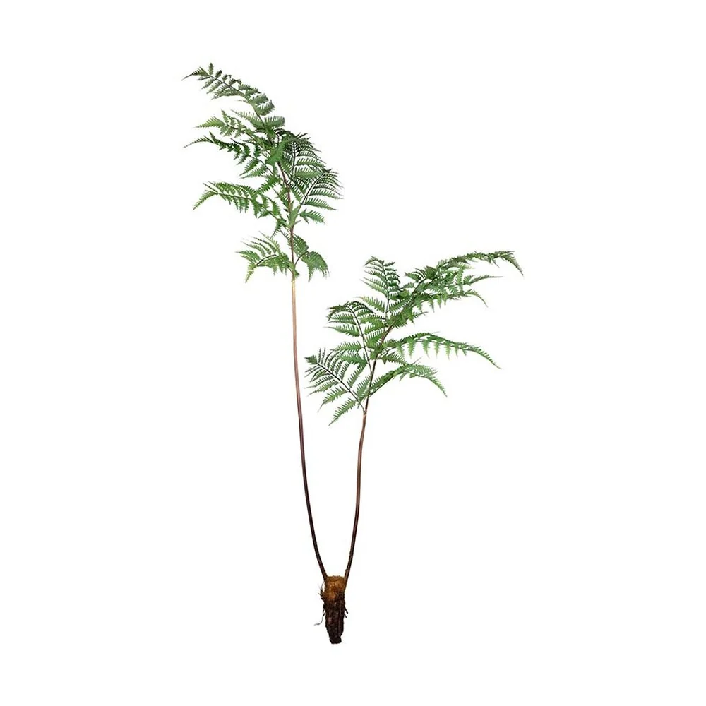 Óriás mű erdei pajzsika páfrány ág 150 cm zöld "Dryopteris"
