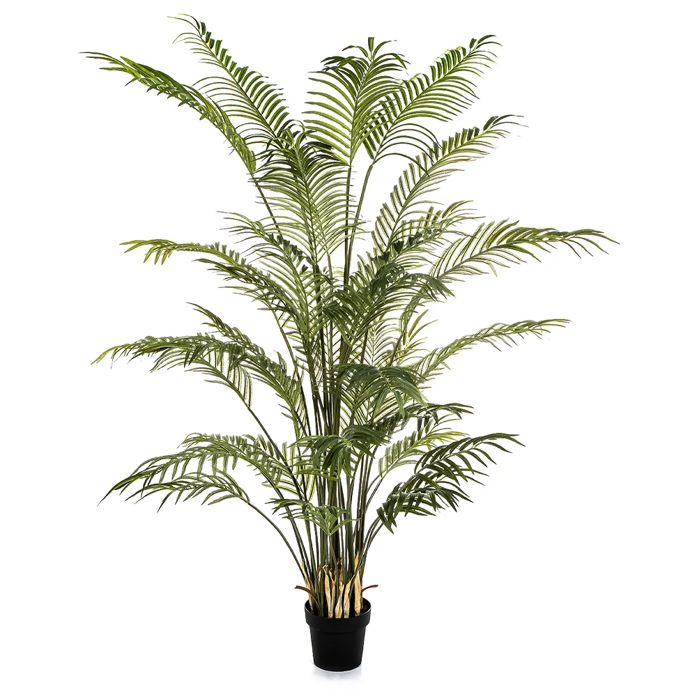 ARECA FOREST zöld mű erdei aranypálma 205 cm