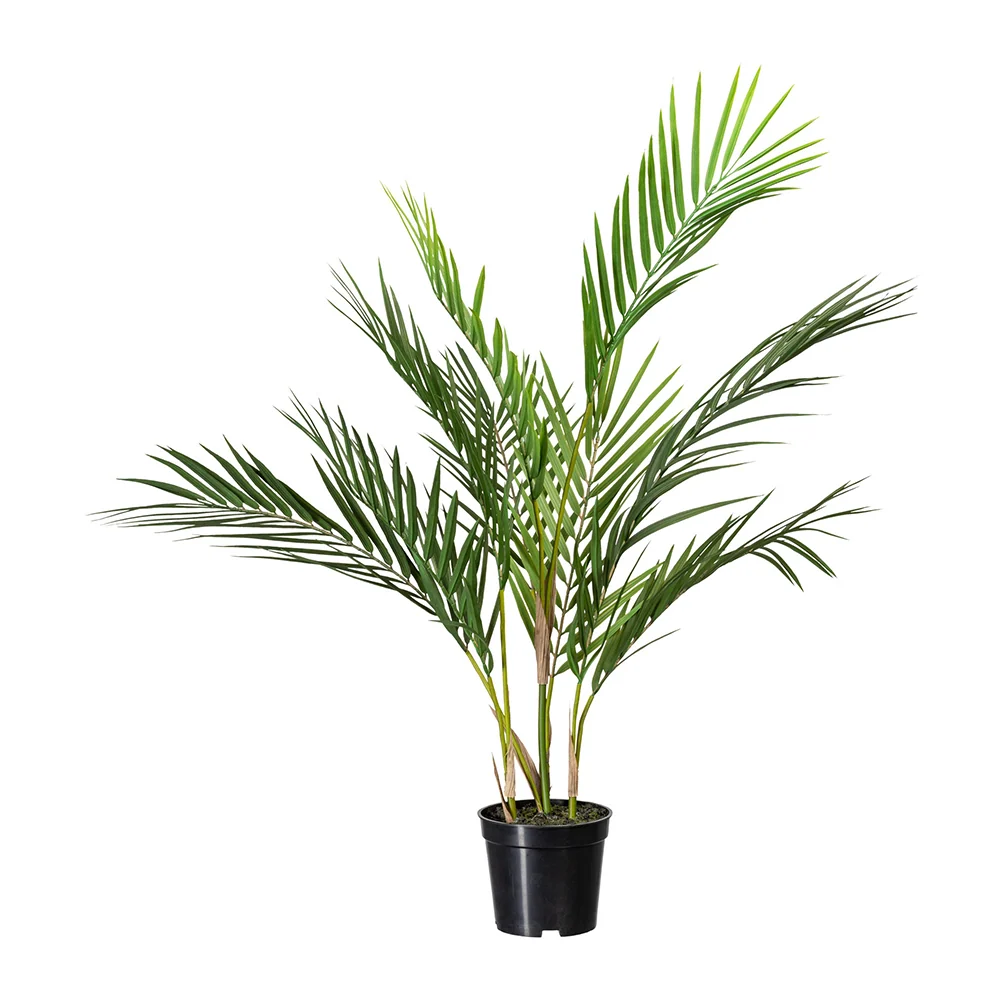 ARECA zöld mű aranyálma 70 cm