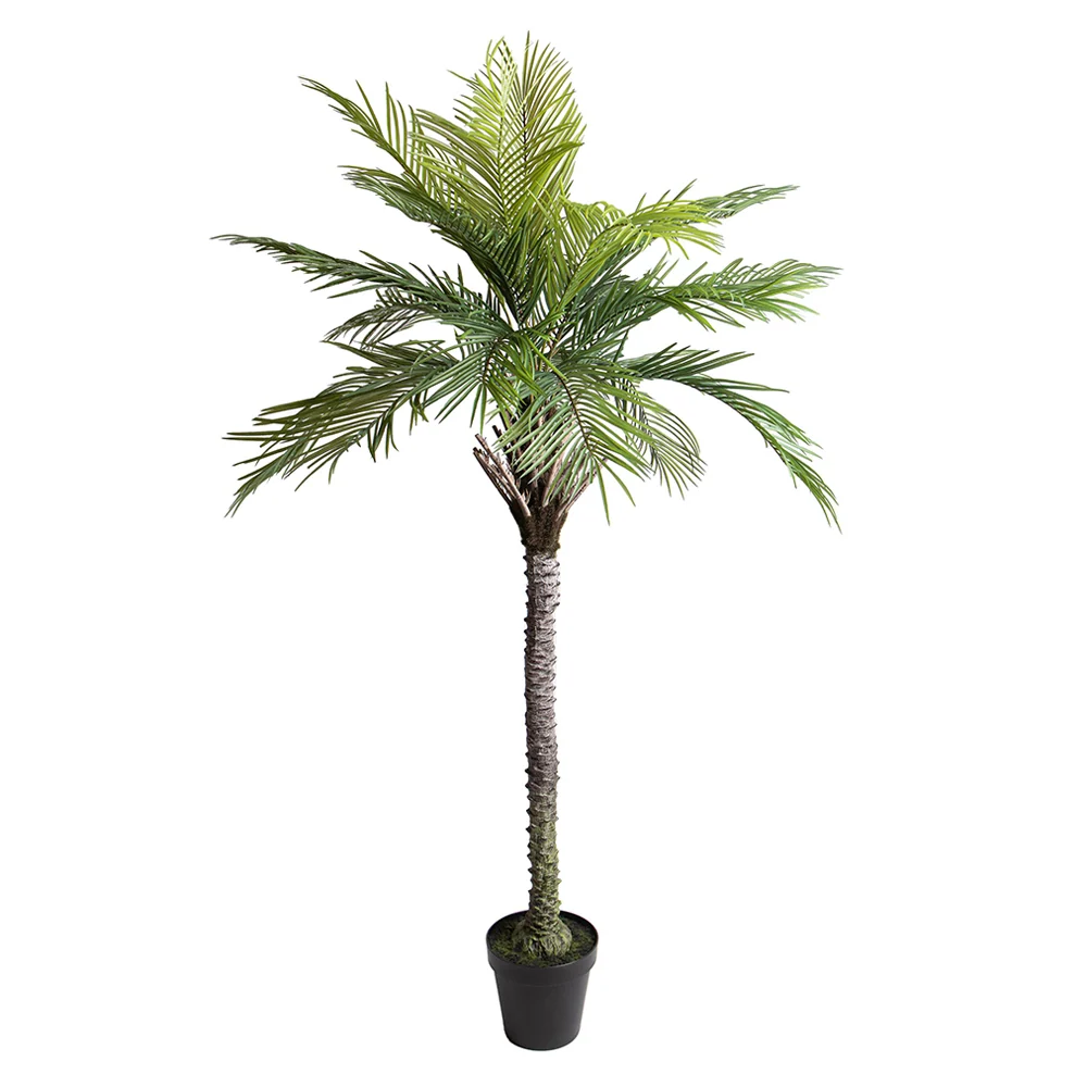 ARECA zöld mű pálmafa 200 cm