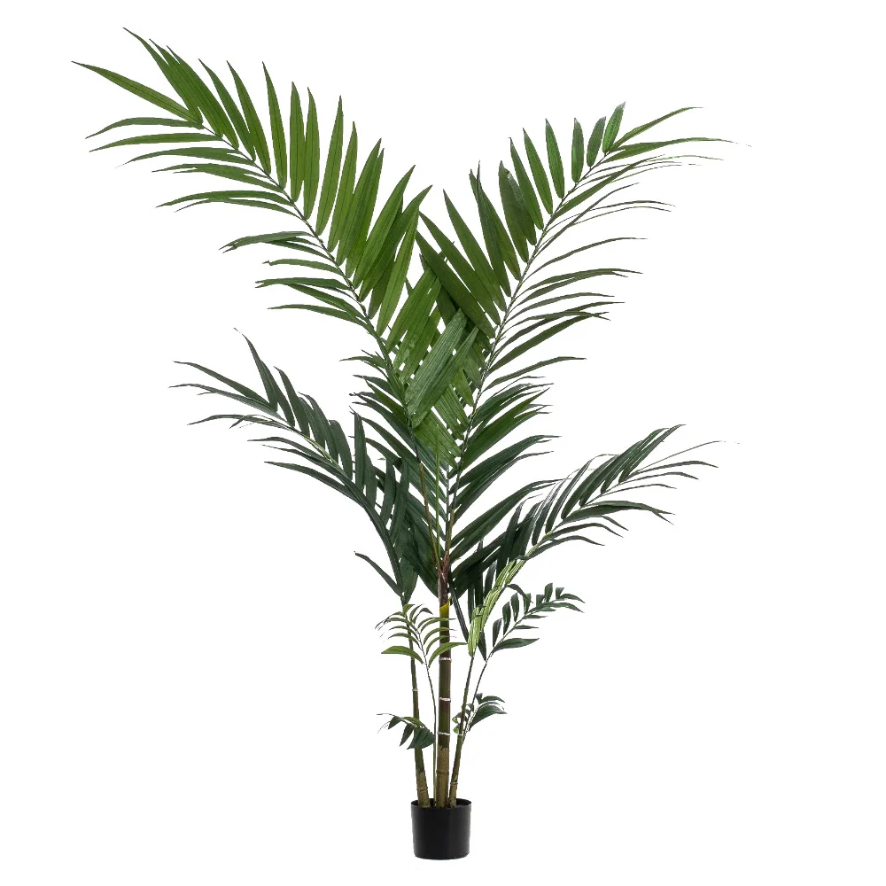 KENTIA mű kencia pálma 150 cm