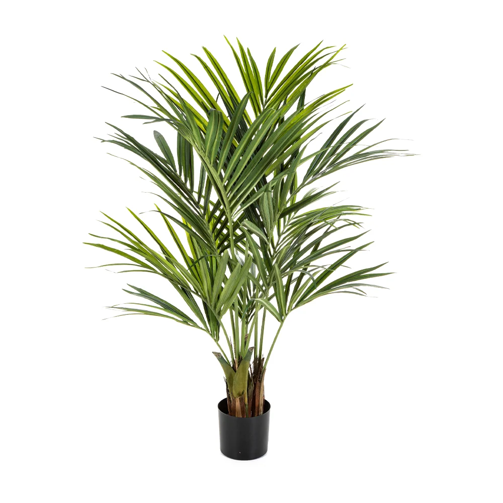KENTIA zöld mű kencia pálma 140 cm