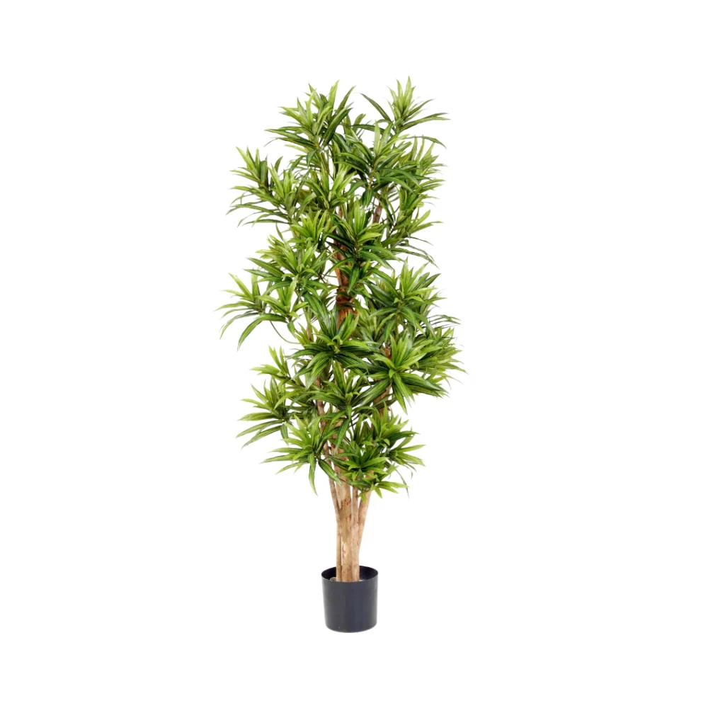 DRACAENA sárkányfa cserepes műnövény 120 cm