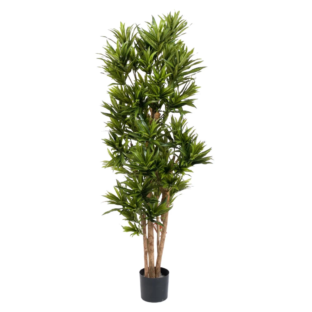 DRACAENA sárkányfa cserepes műnövény 184 cm