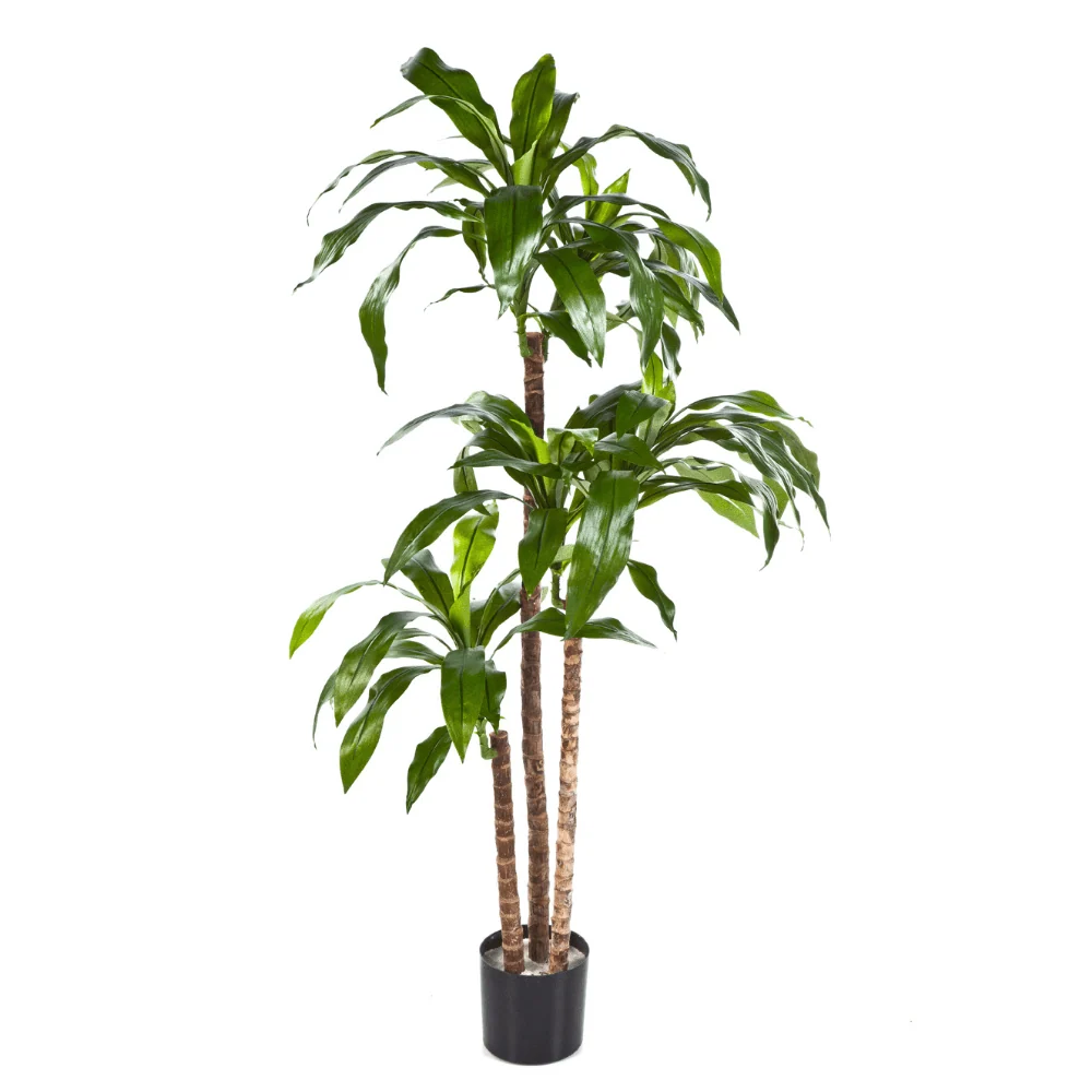 Sárkányfa cserepes műnövény 120 cm "Dracaena"