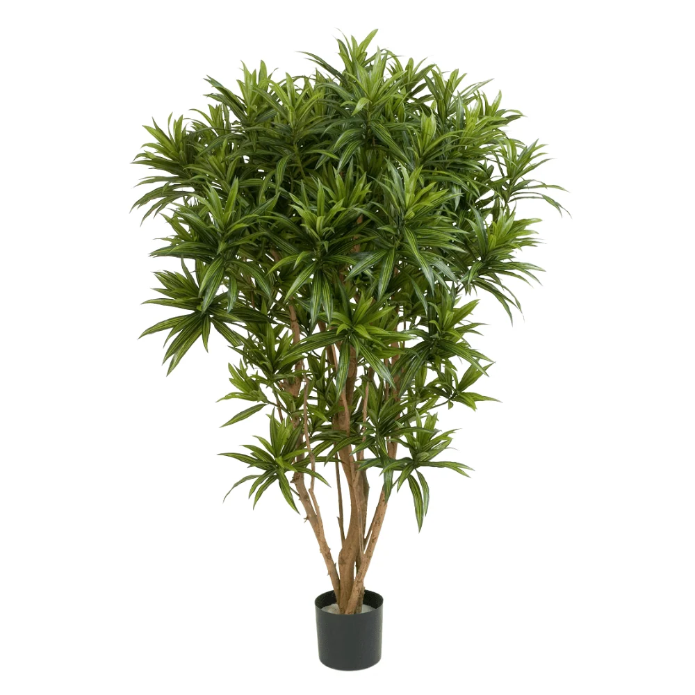 Sárkányfa cserepes műnövény 145 cm "Dracaena"