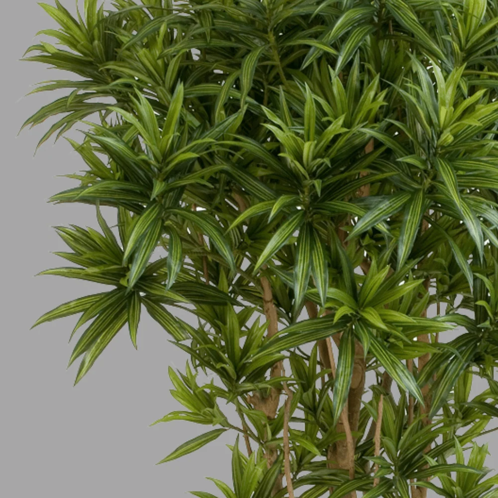 Sárkányfa cserepes műnövény 145 cm "Dracaena"