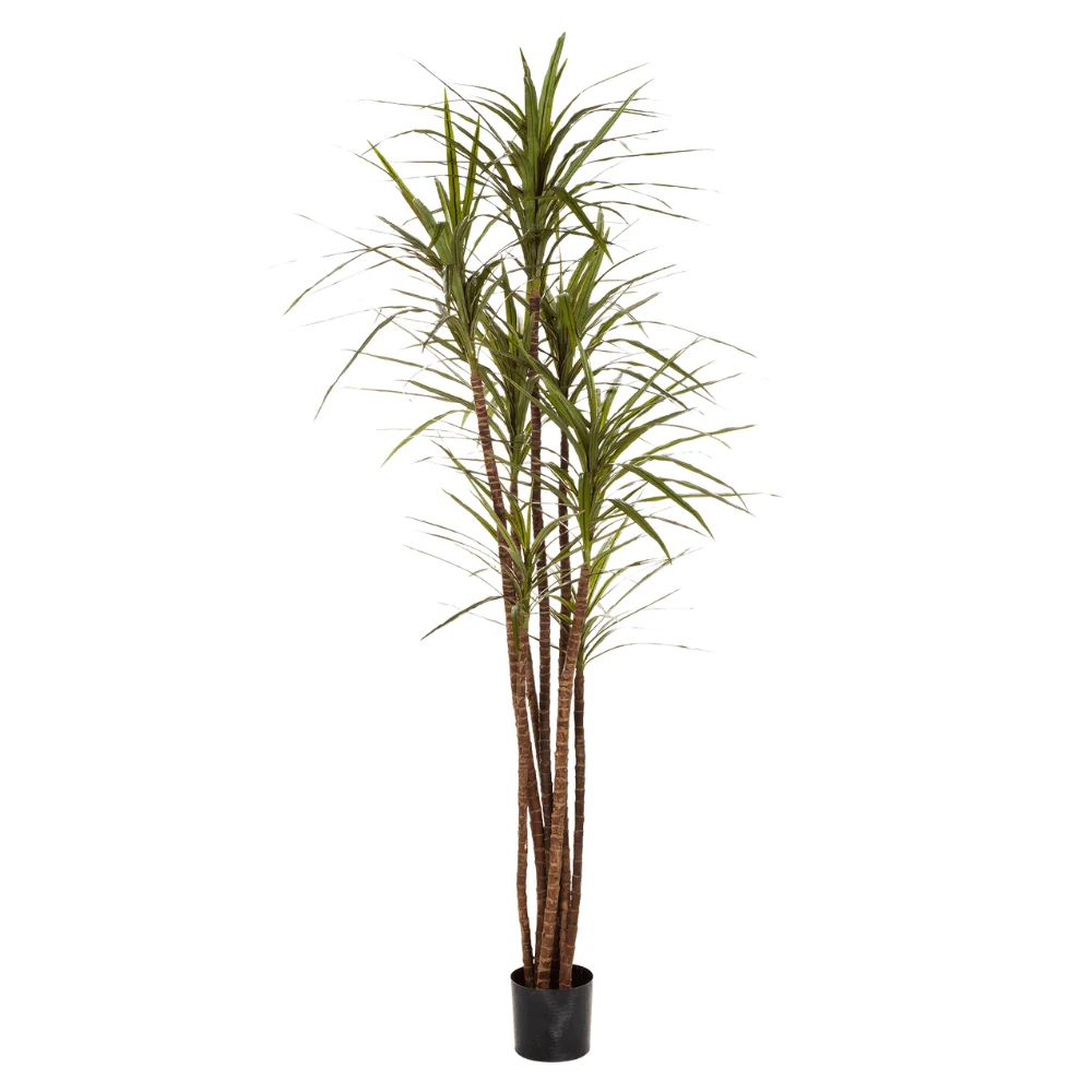 Sárkányfa cserepes műnövény 150 cm "Dracaena"