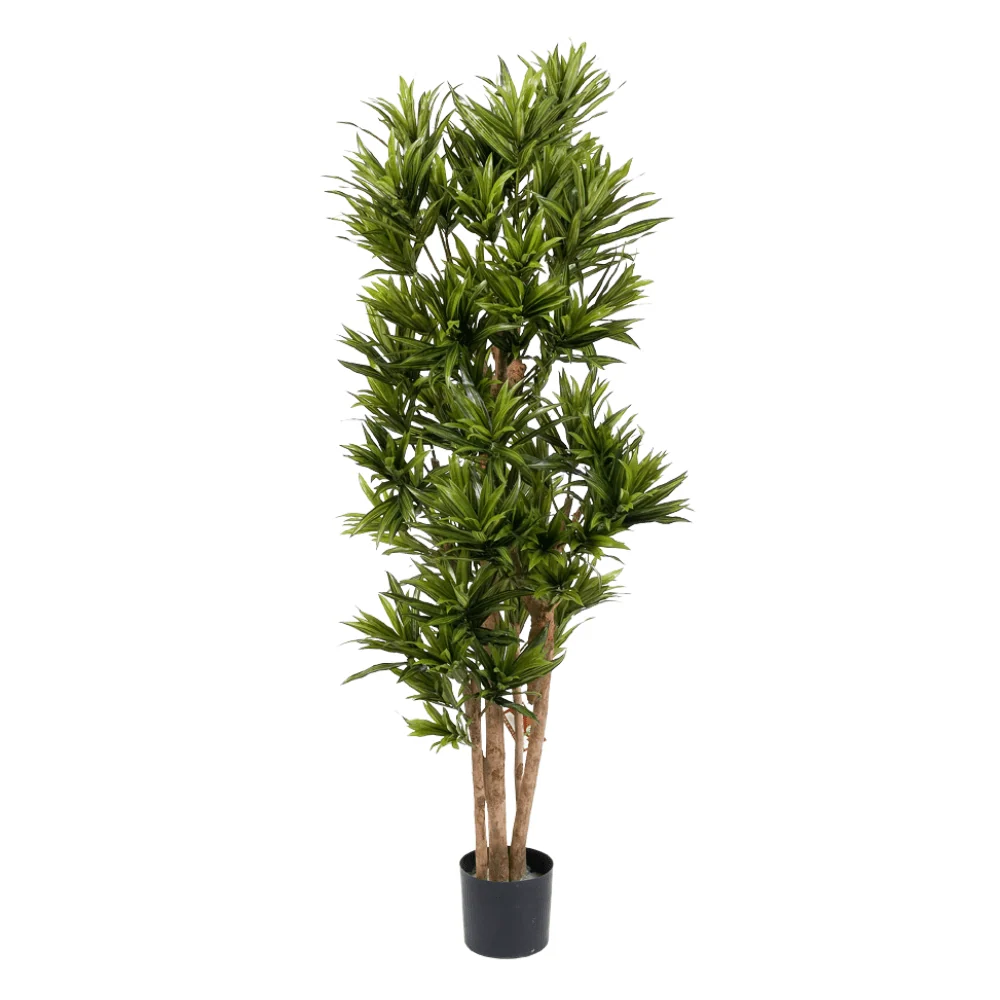 Sárkányfa cserepes műnövény 150 cm "Dracaena"