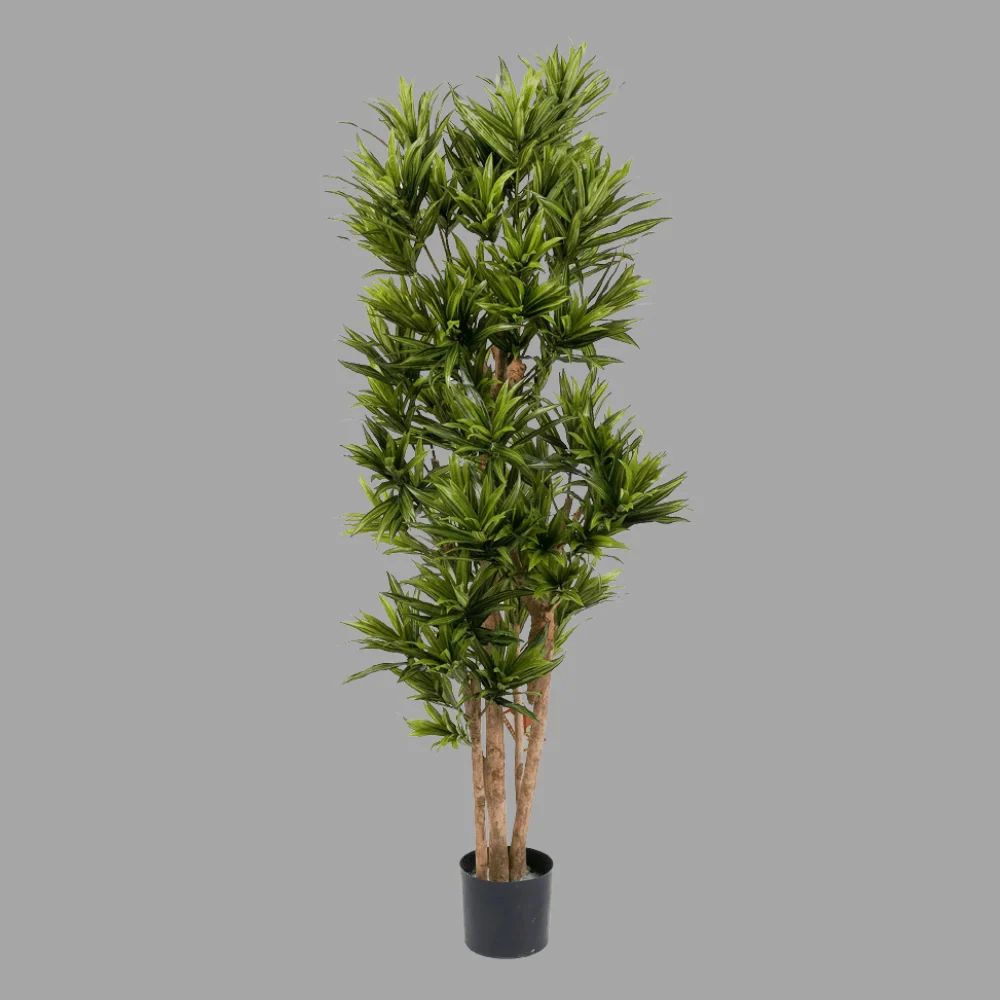 Sárkányfa cserepes műnövény 150 cm "Dracaena"