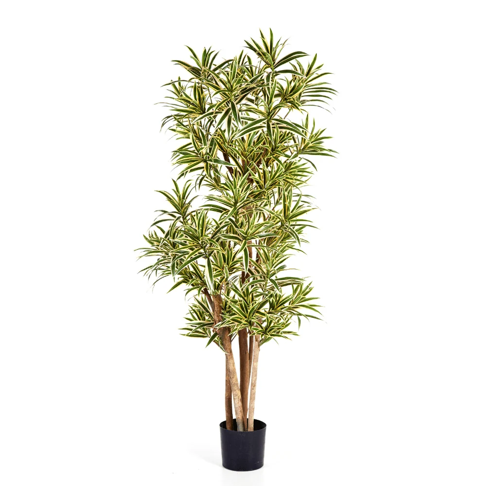 Sárkányfa cserepes műnövény 150 cm "Dracaena"