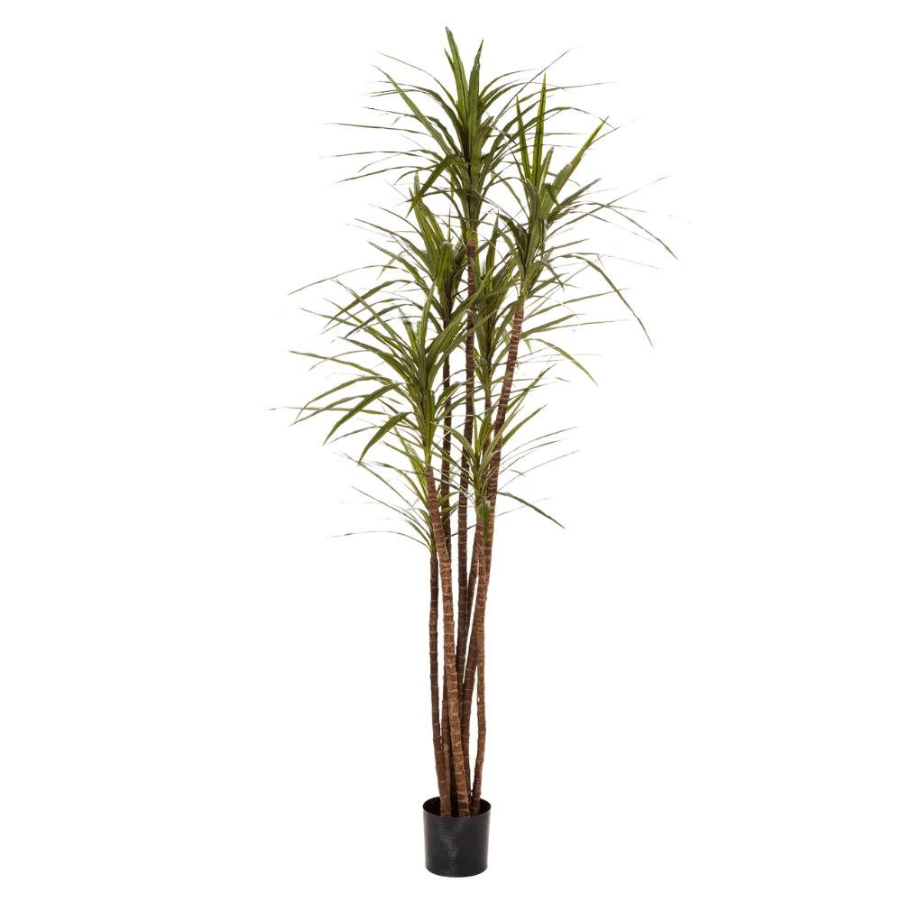 Sárkányfa cserepes műnövény 180 cm "Dracaena"