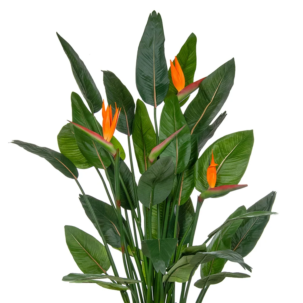 BIRD PARADISE tűzálló virágzó mű strelitzia 150 cm