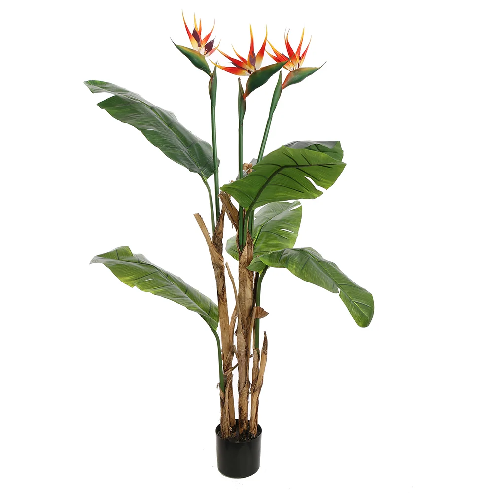 BIRD PARADISE virágzó mű strelitzia 140 cm