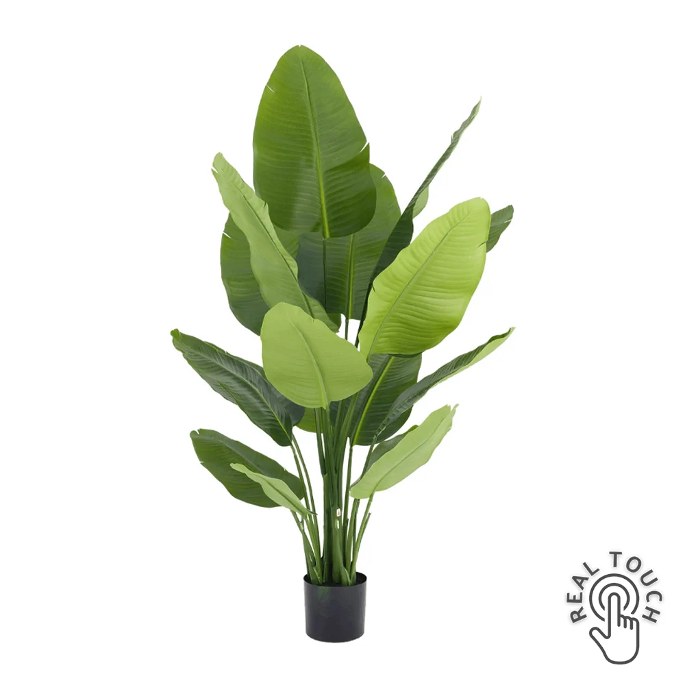 STRELITZIA DELUXE zöld mű strelitzia 150 cm