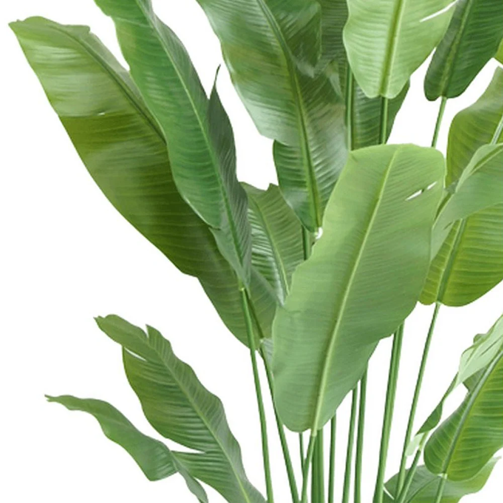 STRELITZIA NICOLAI zöld mű strelitzia 195 cm