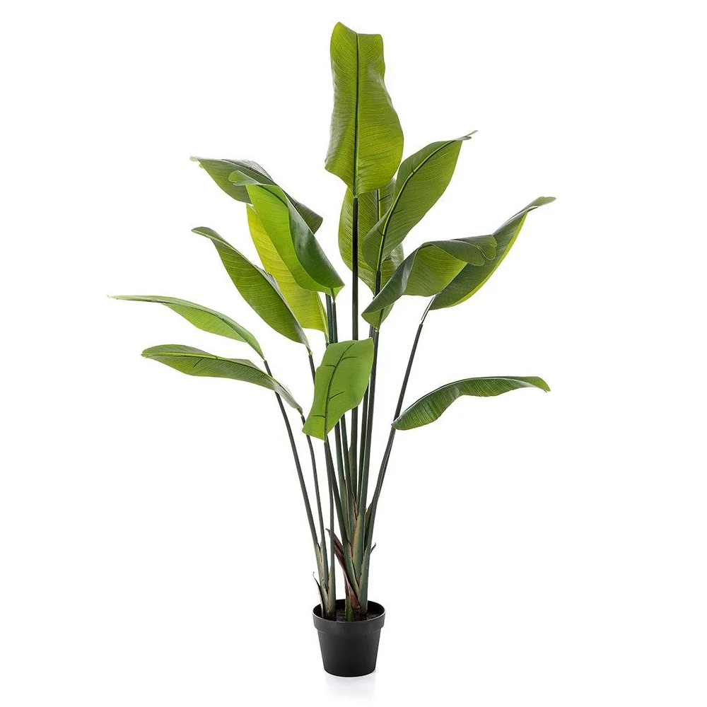 STRELITZIA zöld mű strelitzia 150 cm