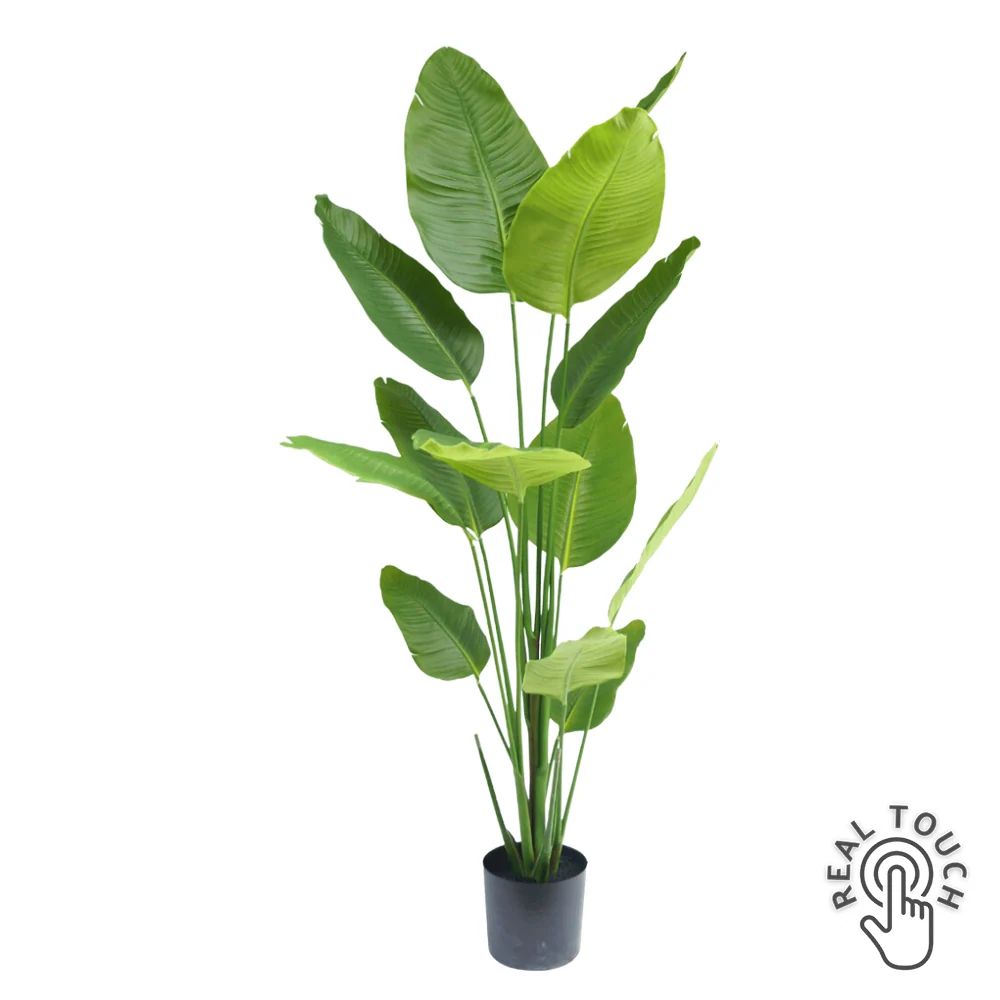 STRELITZIA zöld mű strelitzia 180 cm
