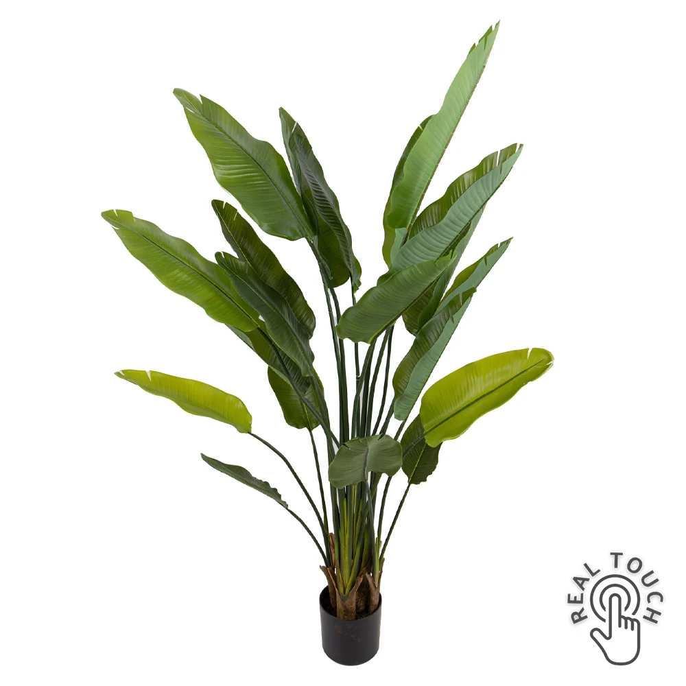 STRELITZIA zöld mű strelitzia 180 cm zöld