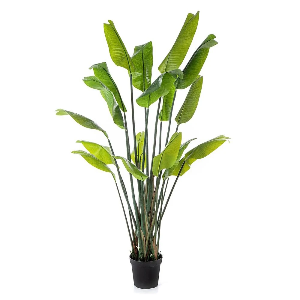 STRELITZIA zöld mű strelitzia 200 cm