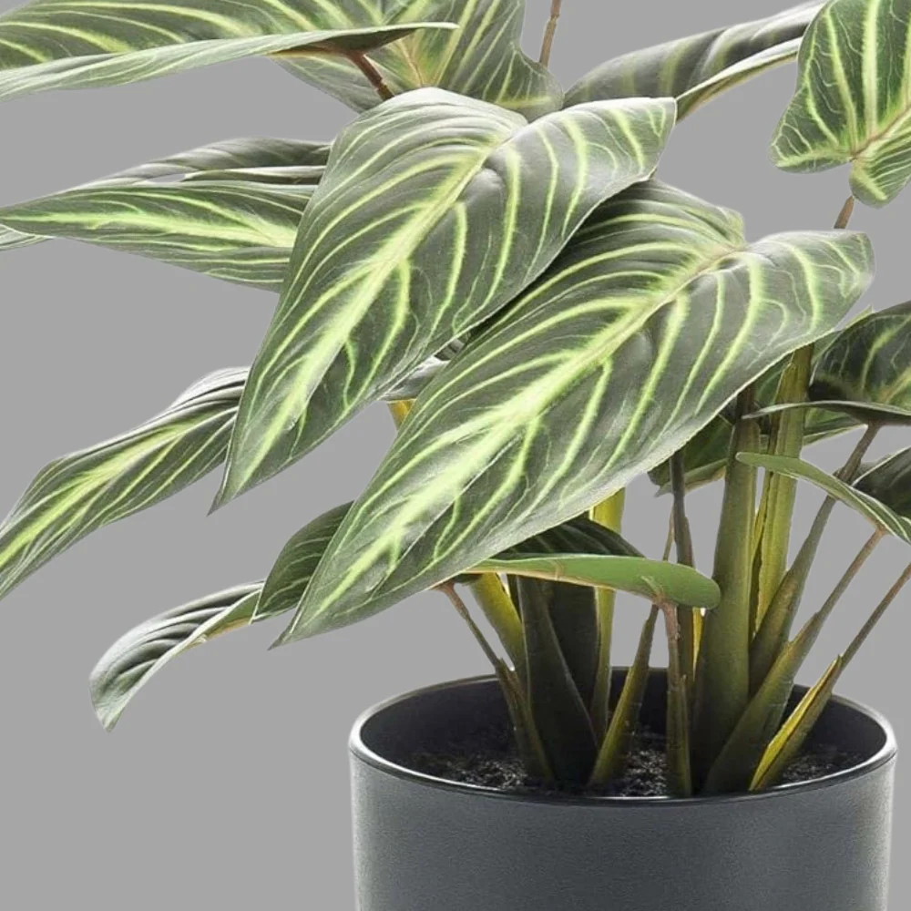 CALATHEA zöld zebralevél műnövény díszkaspóban 38 cm
