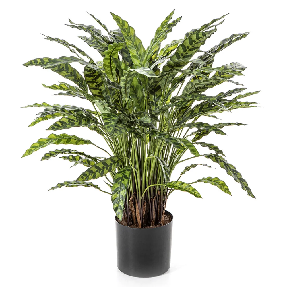 Élethű zebralevél műnövény 88 cm zöld "Calathea"