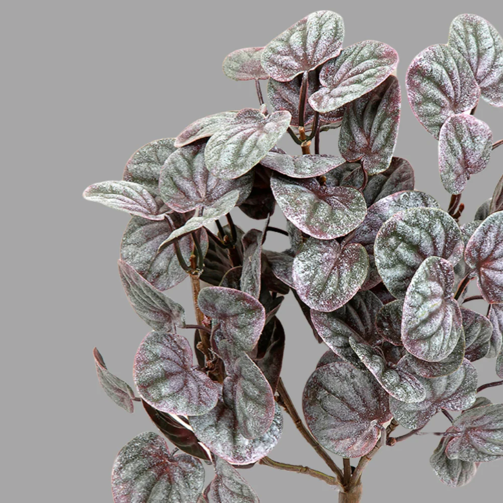 PEPEROMIA betűzős bordó törpebors műnövény 33 cm