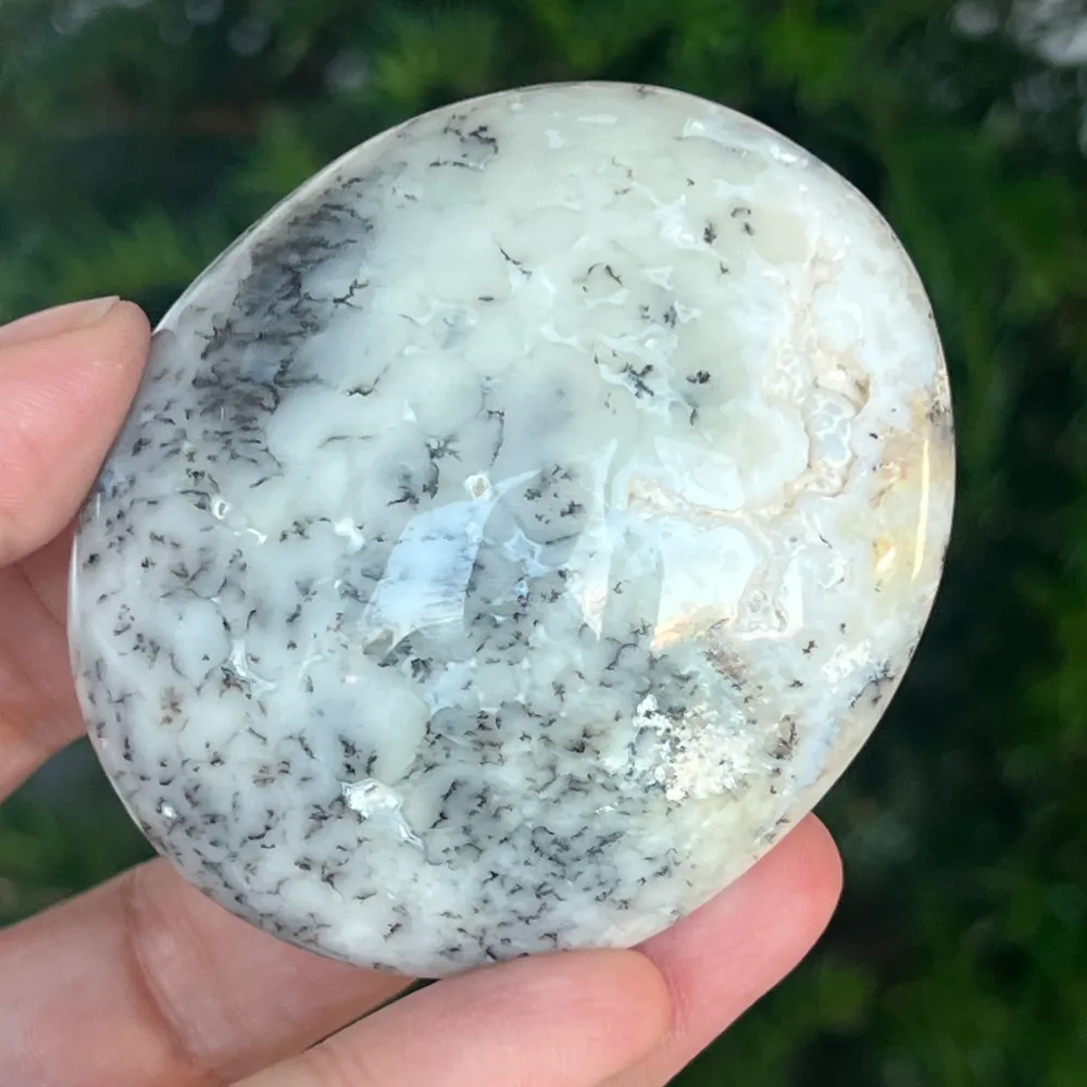 Dendritikus fehér opál palmstone | 10. modell