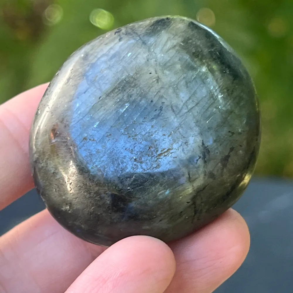 Labradorit pálmakő m17