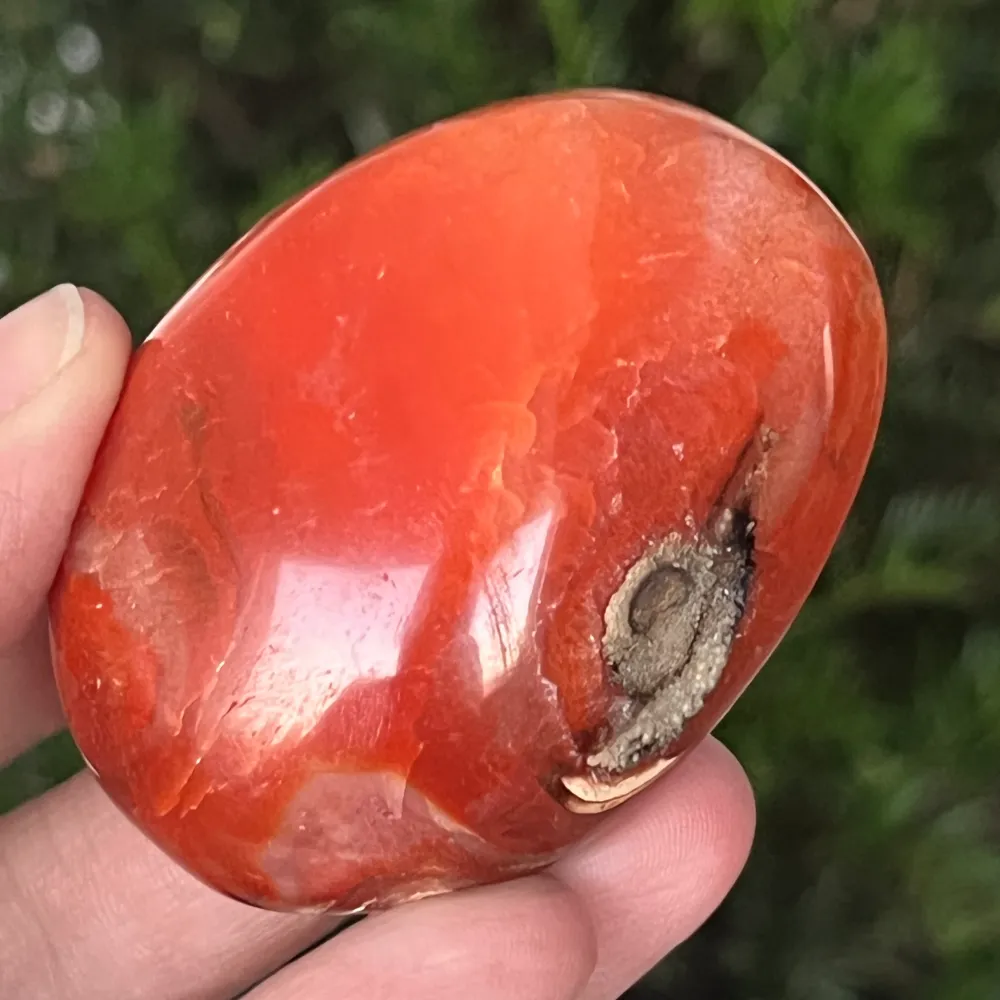 Palmstone karneol m13